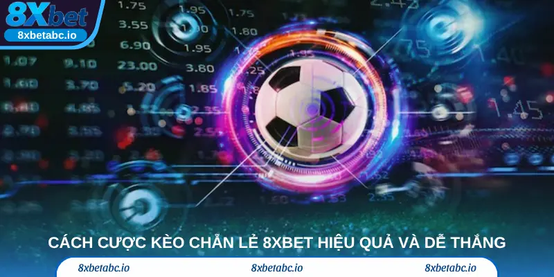 Cách cược kèo chẵn lẻ 8xbet hiệu quả và dễ thắng cho người mới